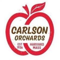 Carslon - Carlson Shapleys Traditional Cider 16oz Cans (Each)