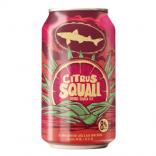 Dogfish Head Citrus Squall Double Fruited Golden Ale 12oz Can 0